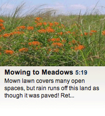 Mowing to Meadows