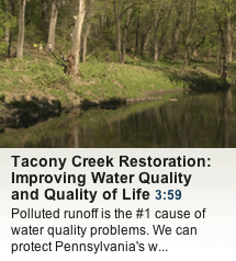 Tacony Creek