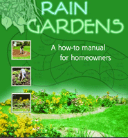 Rain Gardens Manual thumbnail