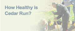 How Healthy is Cedar Run?