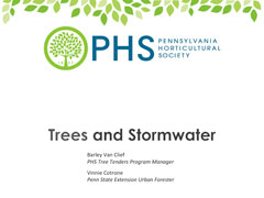 Trees & Stormwater