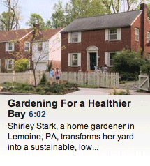 Gardening for a Healthier Bay