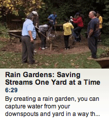 Rain Gardens