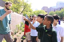 Green & Blue Schools