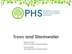 Trees & Stormwater